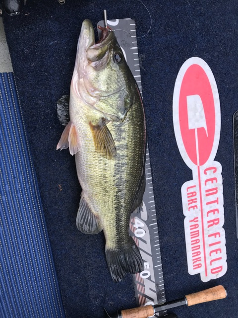 {A807ABF3-A157-4C6F-BFF3-80E293F6BA74}