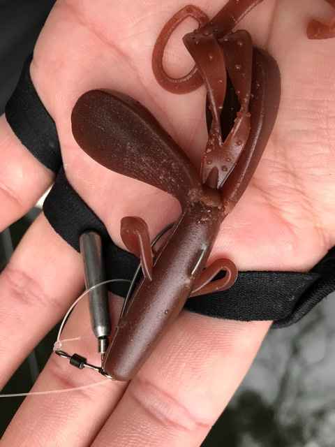 {0192AC1D-1AD8-4EDB-94F1-CC0C9220857D}