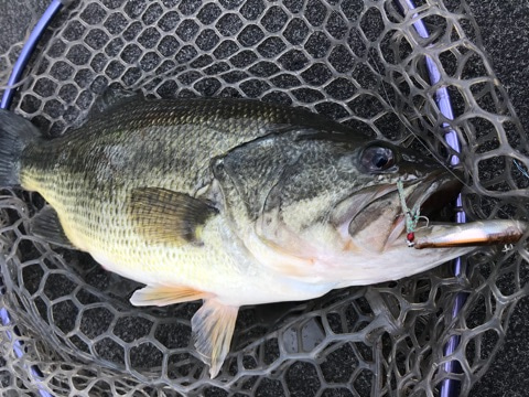 {7542DA20-E732-42EA-BDC0-040D40CA73E0}