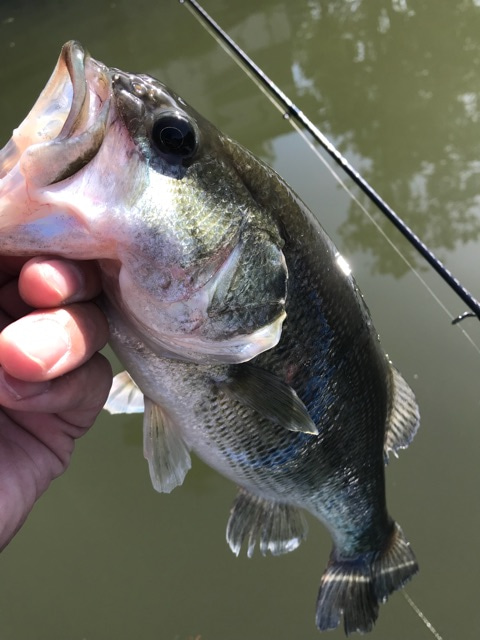 {7C50865D-6BF6-49D2-BE88-7B76698F90F8}