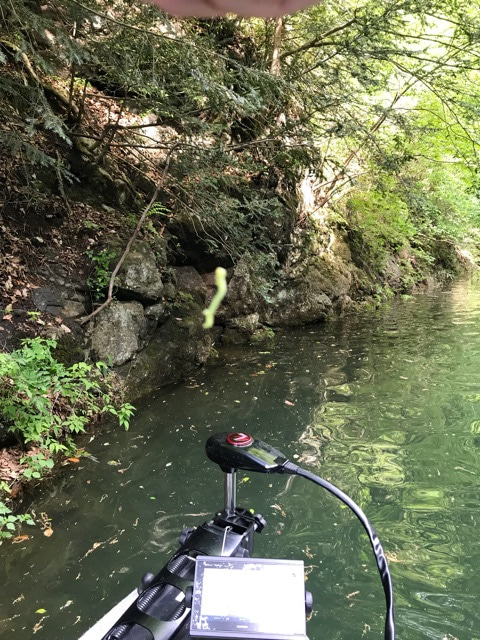 {D53FC88D-B711-4C78-87A0-B68C9F2F593E}