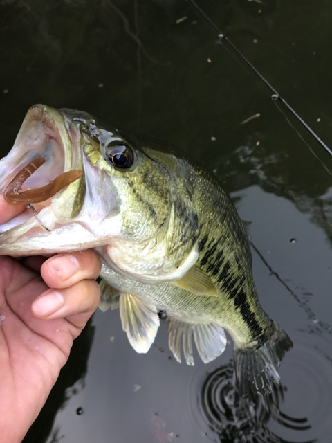 {4325F184-46FB-438C-B02E-D3EA1F344CEC}