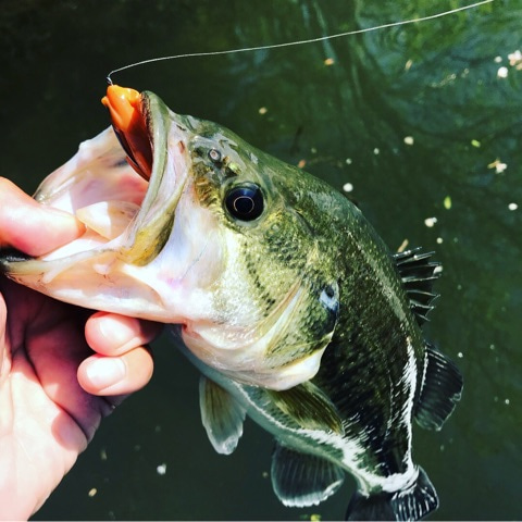 {16DDA717-D937-4335-B3FC-CEBD7DC4B6DC}