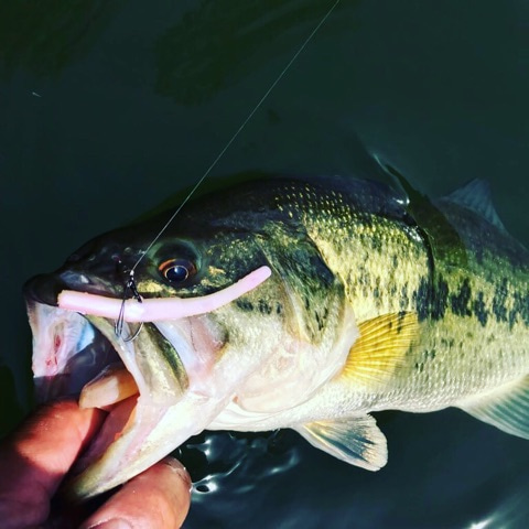 {34E98BA1-AAE6-4901-BDC1-4591815657B6}