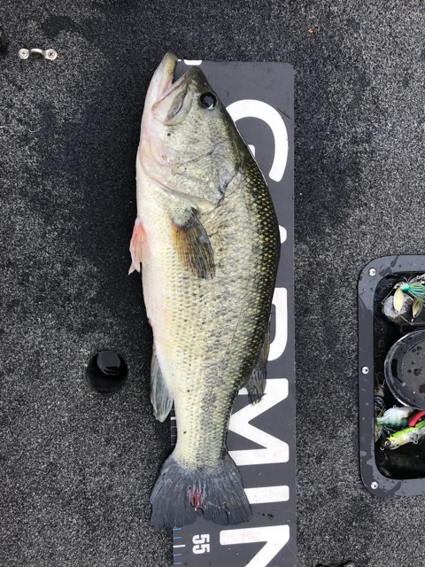 {77C8E089-1246-4279-A25C-33B11987E5ED}