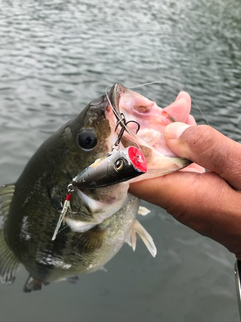 {A95A5BCE-910E-4503-9111-C393EEFD2CB9}